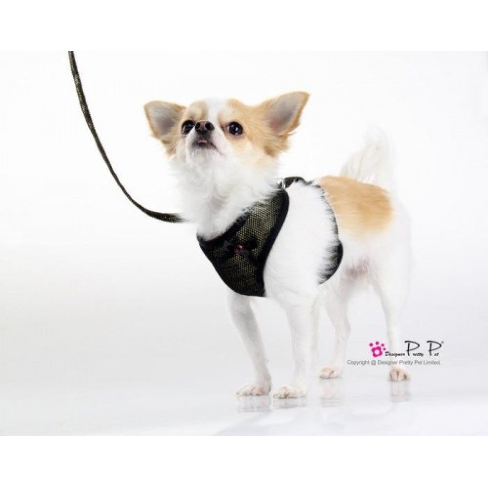 Шлея для собак Pretty Pet тканинна, нейлонові ремінці, з повідцем Bling-bling, золотий — Фото 2