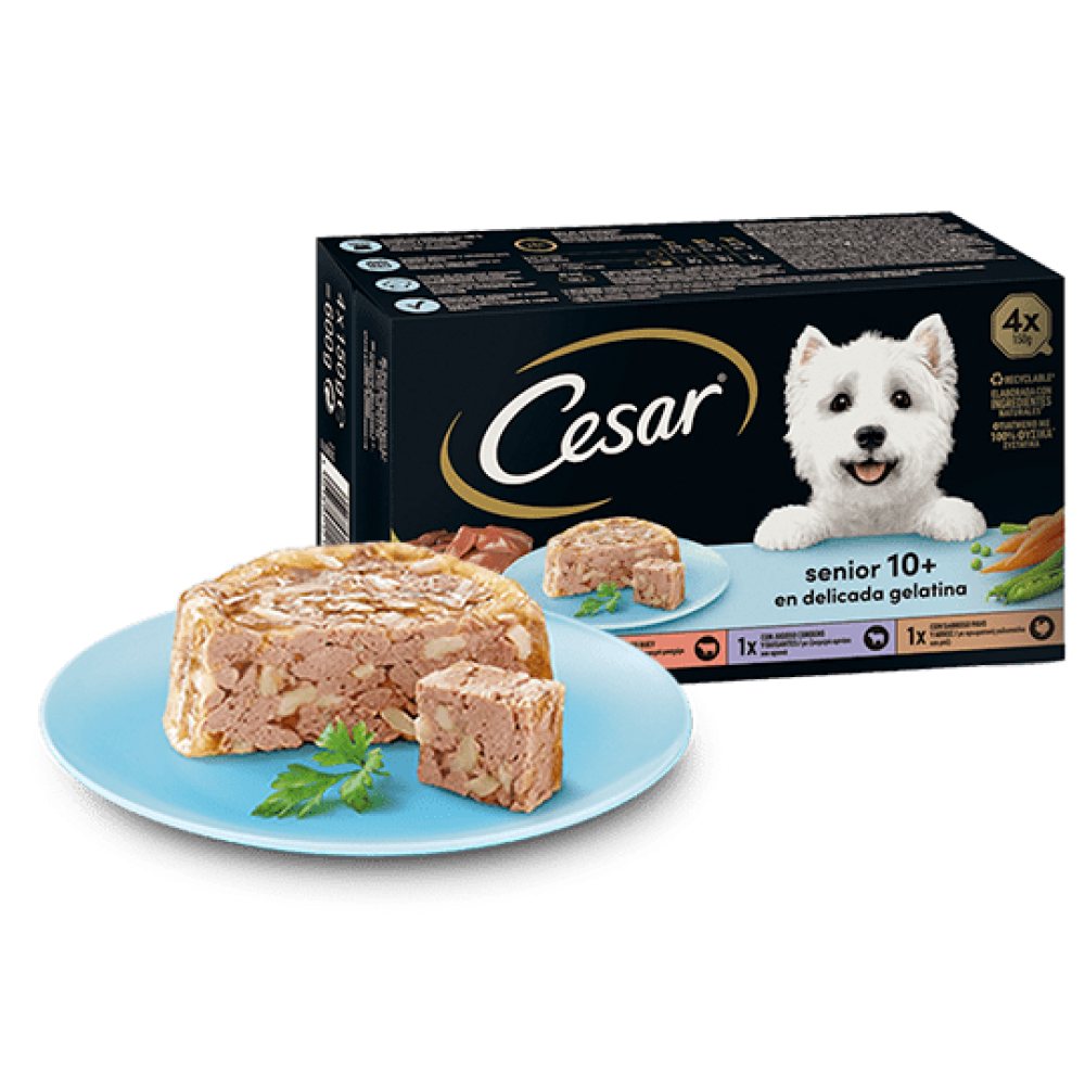 Консерви для собак CESAR Паштет "Senior 10+ для старих собак у желе" з ніжною куркою та рисом 150г — Фото 1