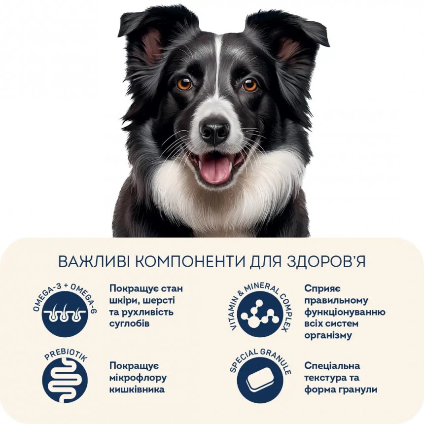 Корм для активних собак и юніорів середніх та великих порід Home Food з ягням та рисом — Фото 3