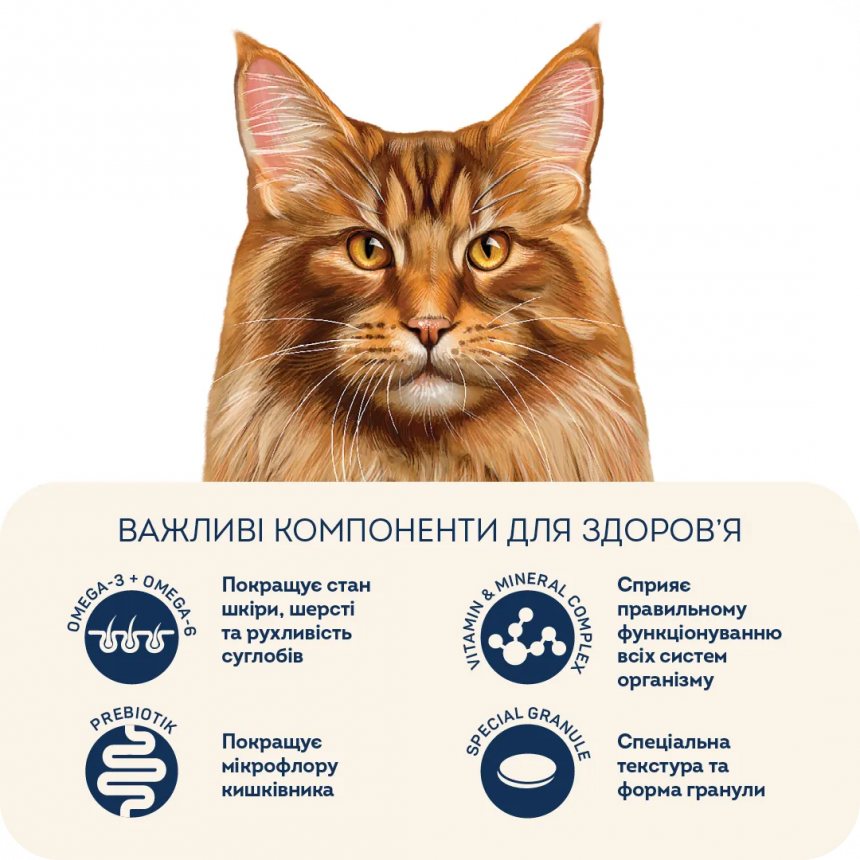 Корм для котів великих порід Home Food з телятиною, лососем та в'яленими томатами — Фото 4