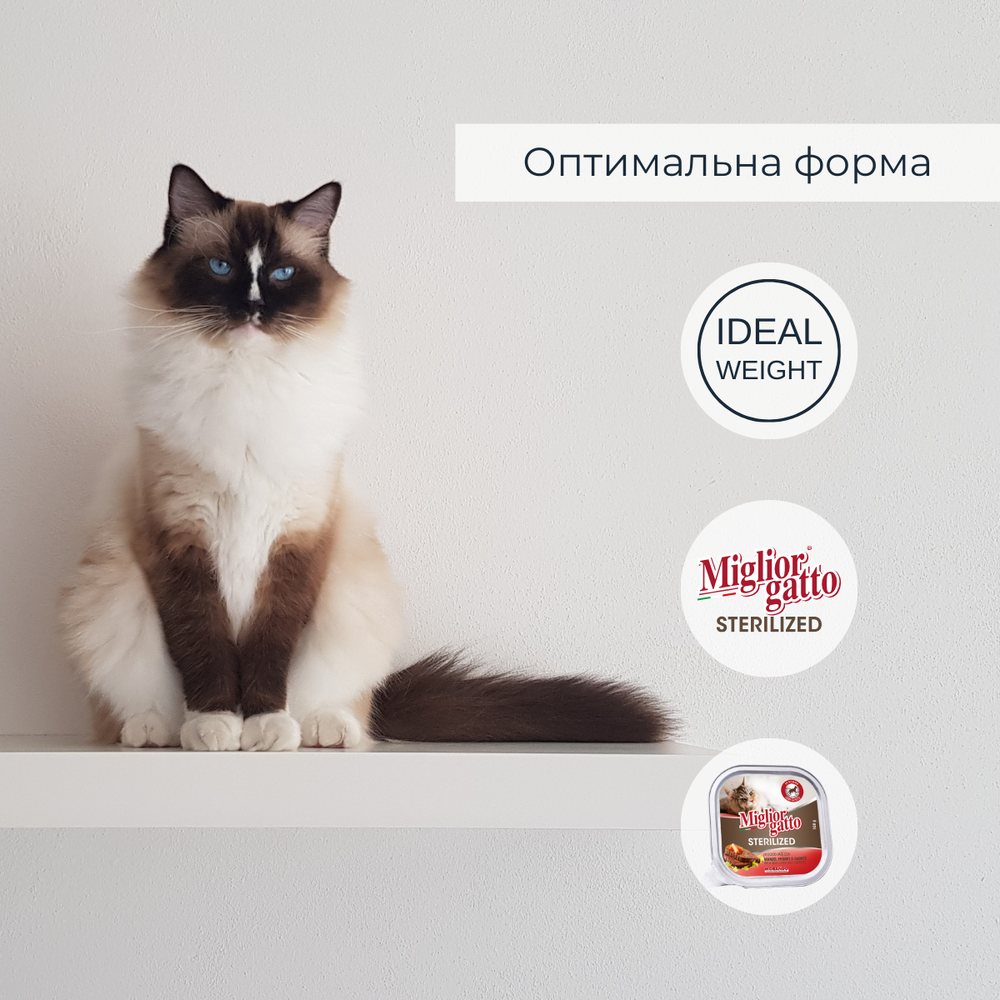 Беззернові консерви для стерилізованих котів Morando Migliorgatto Sterilized з яловичиною печінкою та морквою — Фото 3