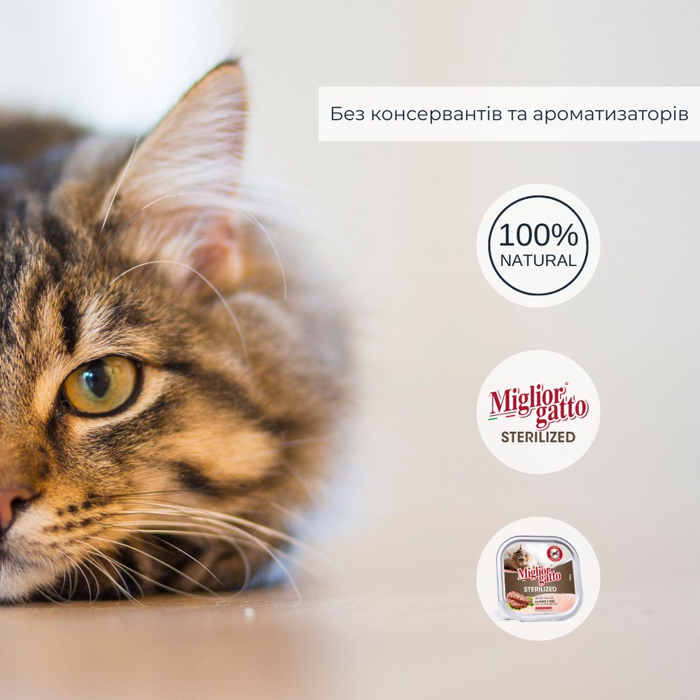 Консерви для стерилізованих котів Morando Migliorgatto Sterilized з лососем та рисом — Фото 4