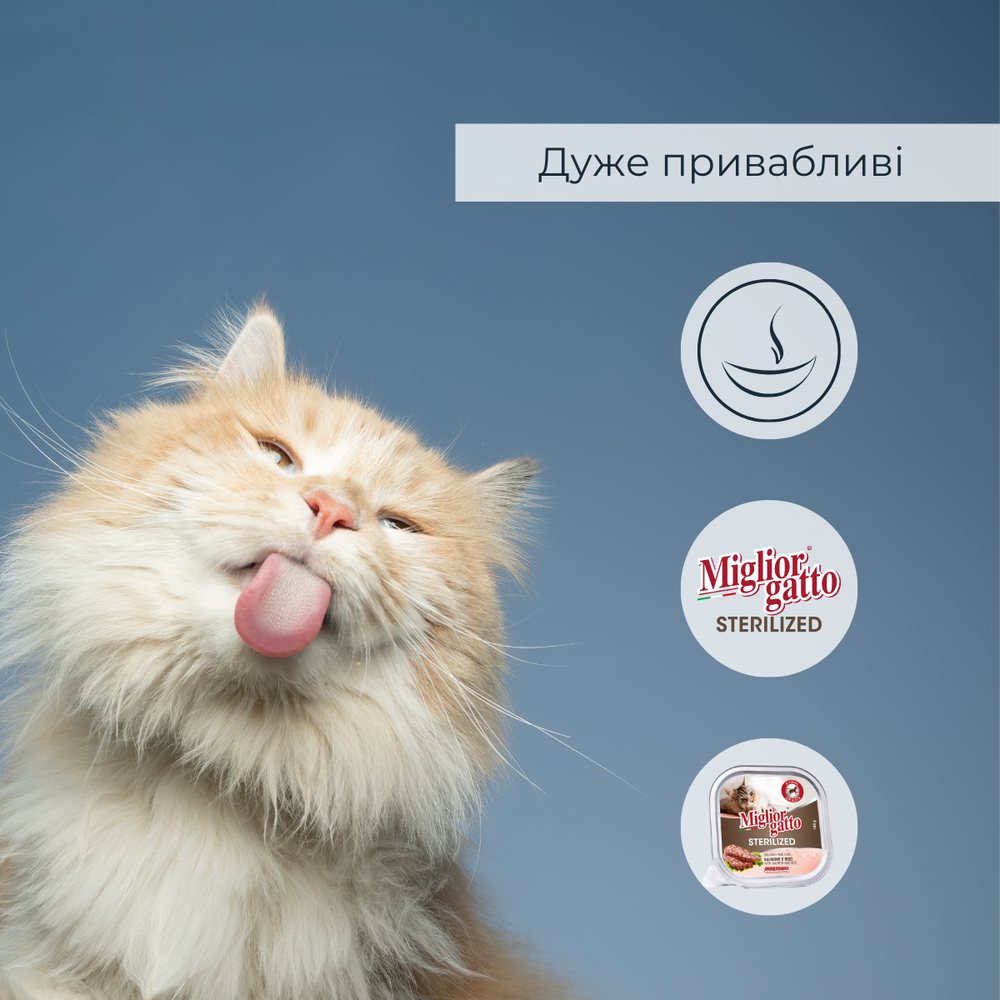 Консерви для стерилізованих котів Morando Migliorgatto Sterilized з лососем та рисом — Фото 5