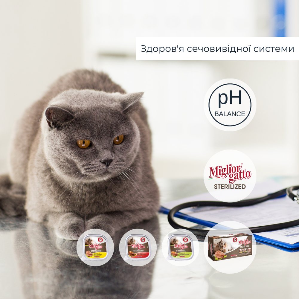 Набір консервів для котів Morando Migliorgatto Sterilized курка прошуто 2 шт + курка ягня 2 шт + яловичина 2 шт (6 шт* — Фото 3