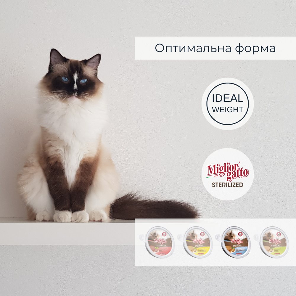 Беззернові консерви для стерилізованих котів Morando Migliorgatto Sterilized мус зі середземноморською рибою — Фото 3