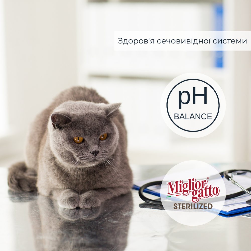 Беззернові консерви для стерилізованих котів Morando Migliorgatto Sterilized риба та креветки шматочки в желе — Фото 2