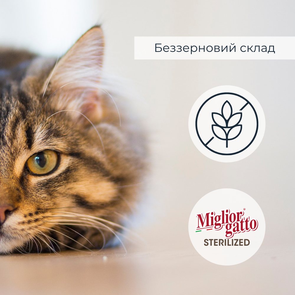 Беззернові консерви для стерилізованих котів Morando Migliorgatto Sterilized лосось шматочки в желе — Фото 4