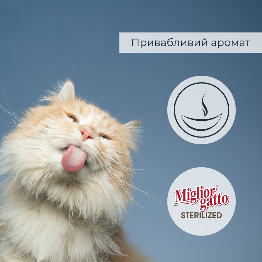Беззернові консерви для стерилізованих котів Morando Migliorgatto Sterilized яловичина і шинка шматочки в соусі — Фото 5
