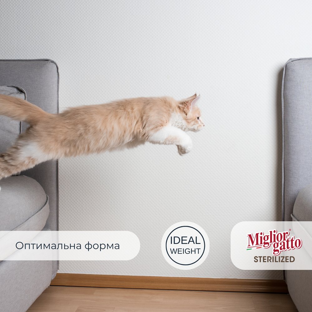 Сухий корм для стерилізованих котів Morando Migliorgatto Sterilized з яловичиною — Фото 2