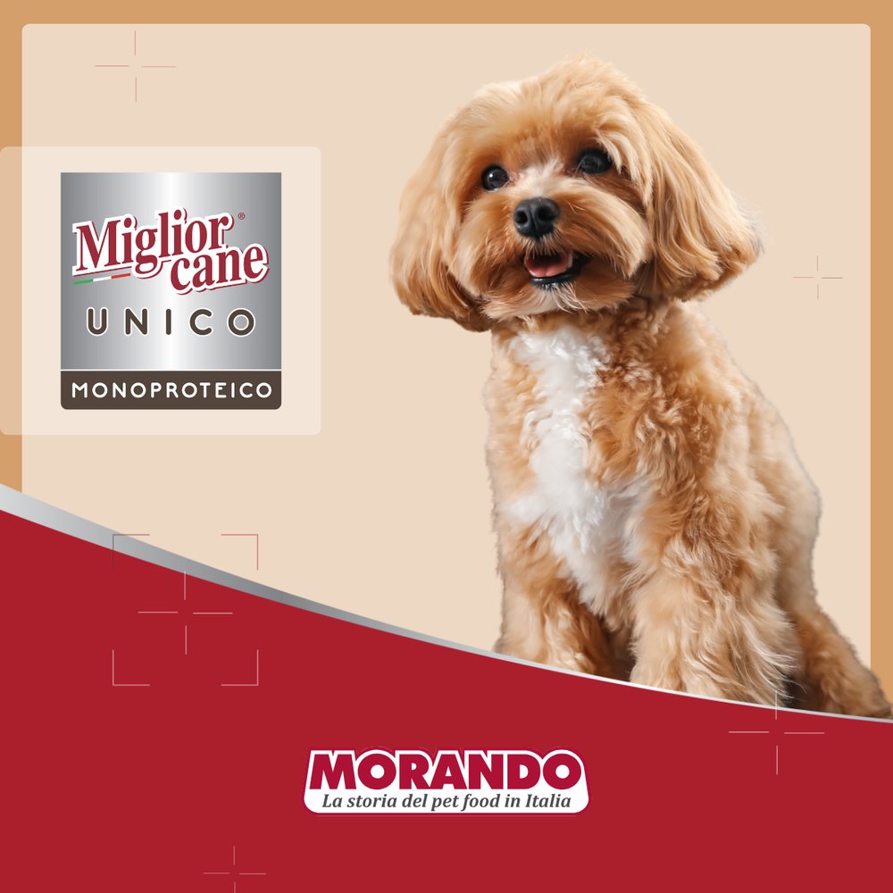 Вологий корм для собак Morando Migliorcane UNICO паштет з прошуто — Фото 6