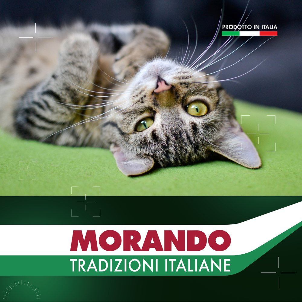 Беззернові консерви для котів Morando Tradizioni паштет з індичкою — Фото 6