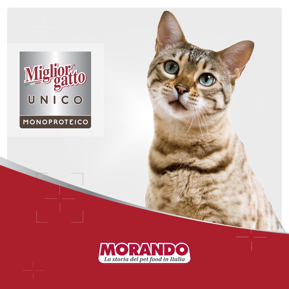 Консерви для котів Morando Migliorgatto UNICO Rustic яловичина — Фото 5