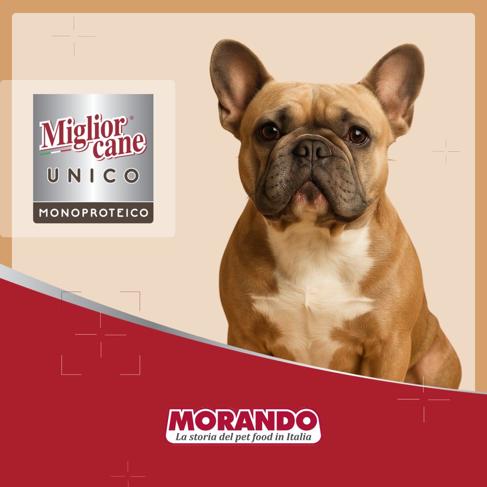 Консерви для собак Morando Migliorcane UNICO Rustic індичка — Фото 5