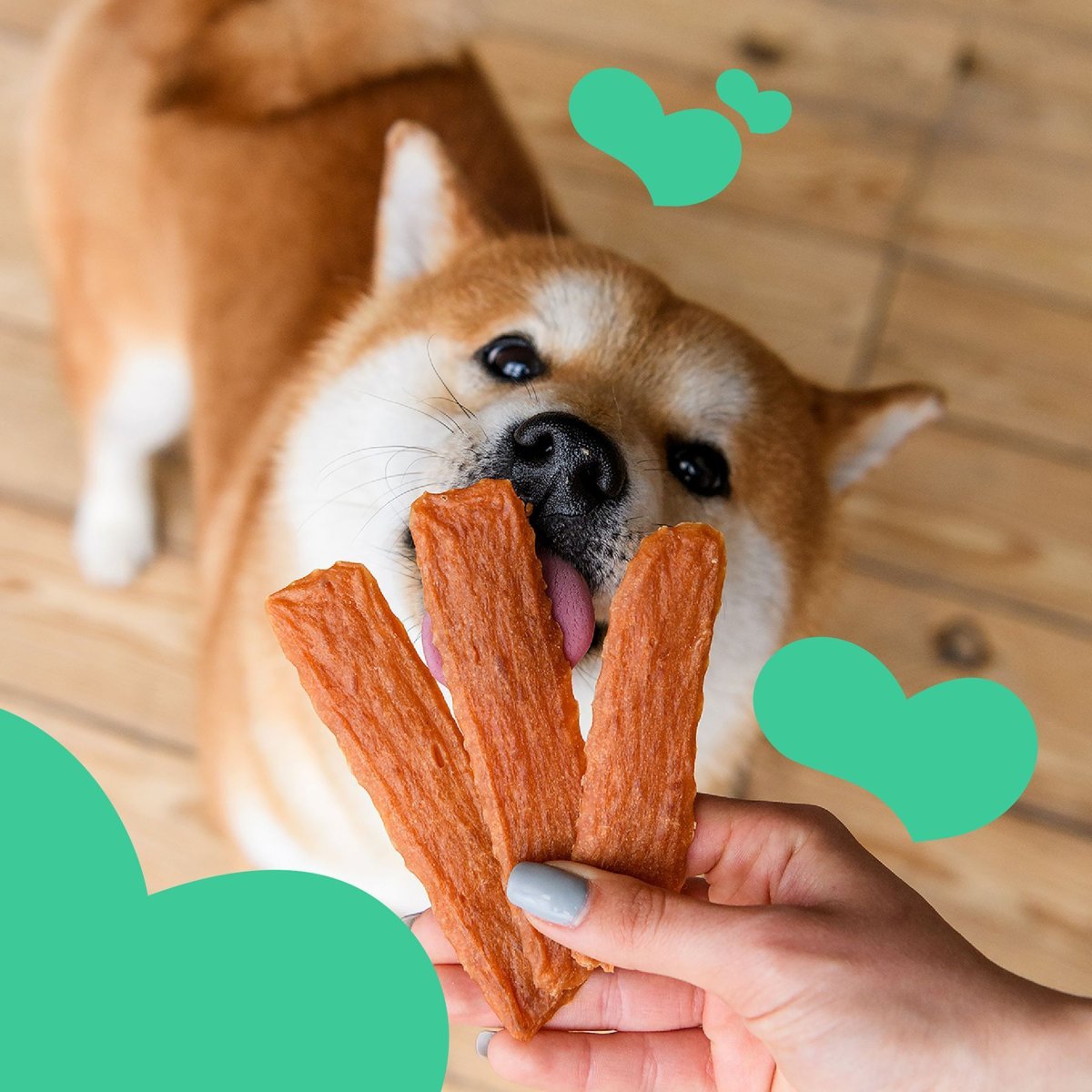 Ласощі для собак Mavsy Dried Rabbit Chip — дієтичні чіпси з кролика для собак з чутливим травленням, 100 г — Фото 5